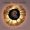 FOSSIL EVOLUTION - World In Motion