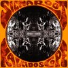 SIENA ROOT - Kaleidoscope
