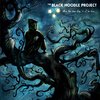 THE BLACK NOODLE PROJECT - When The Stars Align, It Will Be Time ...