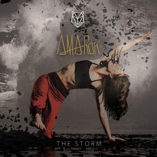 AMAROK - The Storm