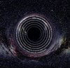 SINGLE CELLED ORGANISM - Event Horizon